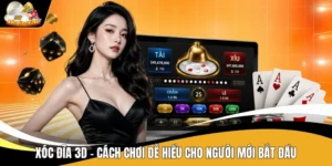 Xóc Đĩa 3D - Cách Chơi Dễ Hiểu Cho Người Mới Bắt Đầu